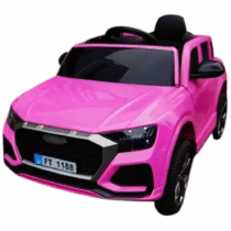 FT1188ROSA
